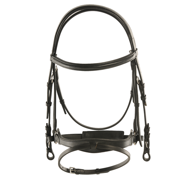 Bentley bridle